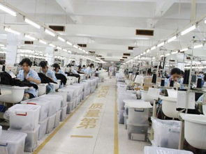 內衣廠家為何信賴波而朵 品質、創(chuàng)新與服務的三重保障