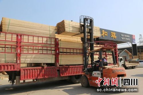 成都青白江國際木材交易中心國外采購力度大 每月200多個集裝箱