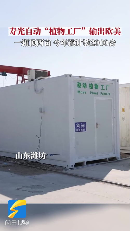 種菜果然是山東人天賦技能 壽光自動(dòng) 植物工廠(chǎng) 輸出歐美今年預(yù)計(jì)推廣2000臺(tái)