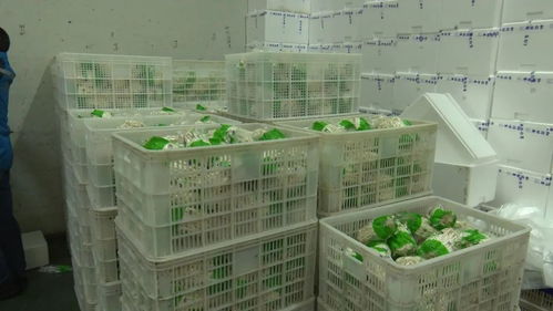 省直機(jī)關(guān)支援隊為我縣企業(yè) 牽線搭橋 擴(kuò)寬產(chǎn)品購銷渠道